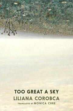 Too Great a Sky