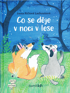 Co se děje v noci v lese