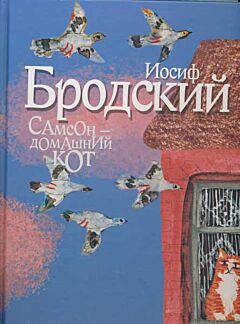 Samson - domashni kot | Самсон - домашний кот