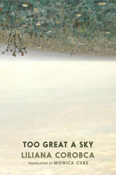 Too Great a Sky